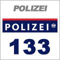 Polizei 133